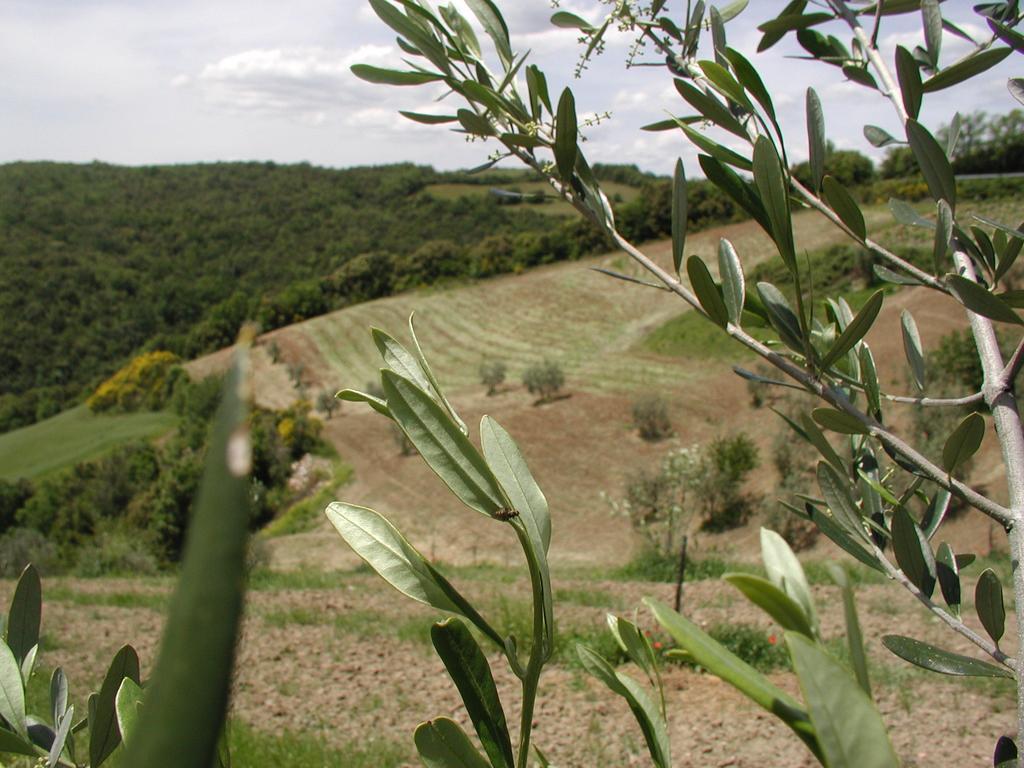 Casa Guaitoli Villa Terme di Petriolo Exteriör bild