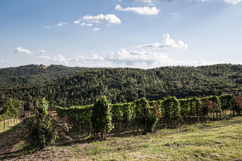 Casa Guaitoli Villa Terme di Petriolo Exteriör bild