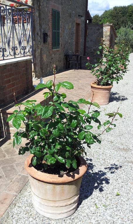 Casa Guaitoli Villa Terme di Petriolo Exteriör bild