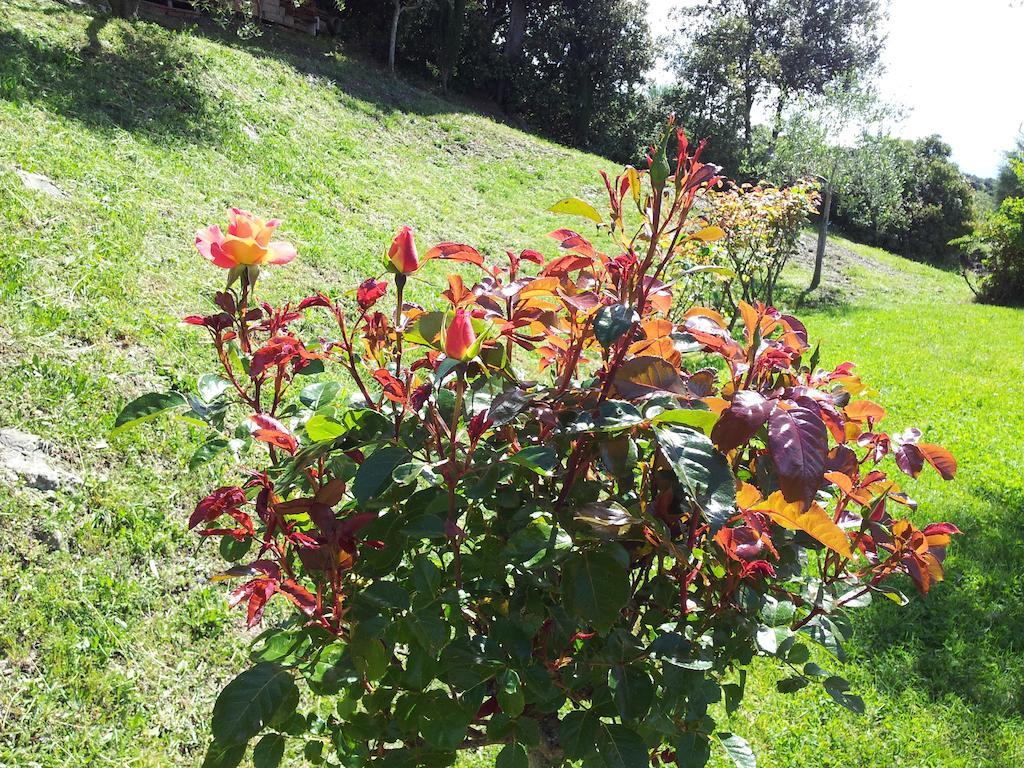 Casa Guaitoli Villa Terme di Petriolo Exteriör bild
